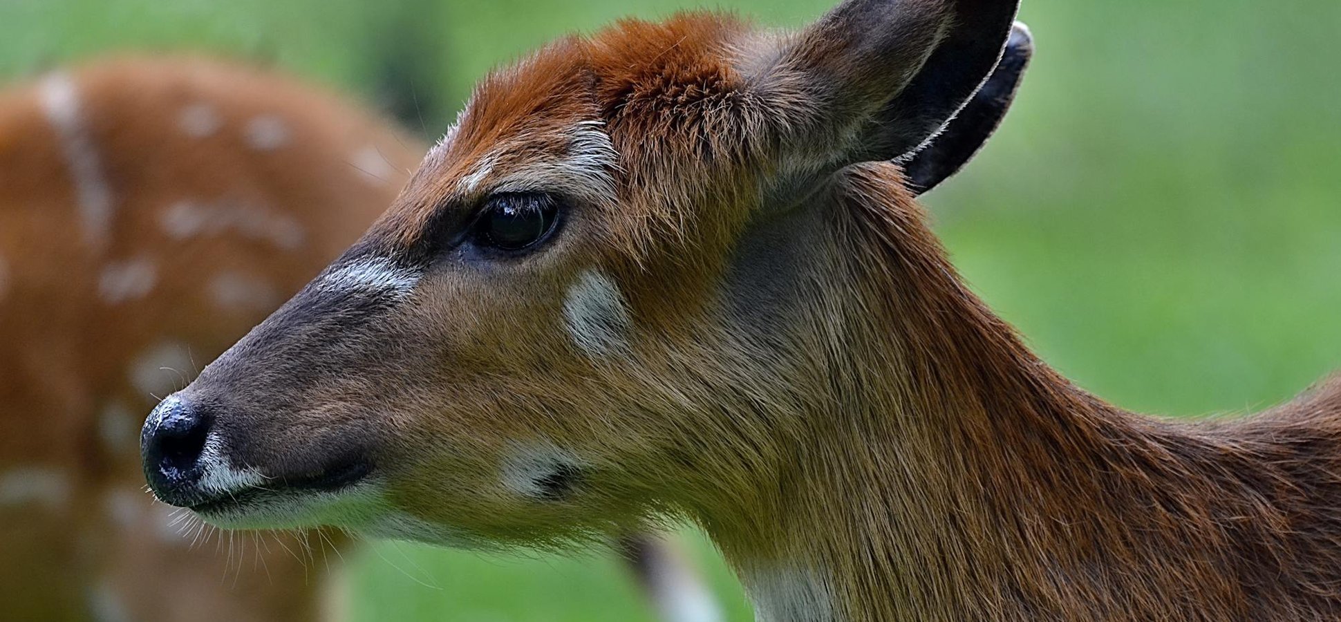 Legal General tokenized money market funds Calastone Ethereum blockchain settlement